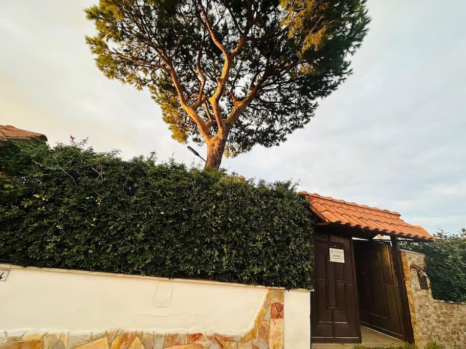 Villa Fontana House à Marina di Cerveteri Extérieur photo